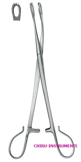 BLOHMKE Tonsillenzange, zwei offene Ringe, 20cm BLOHMKE Tonsillenzange, zwei offene Ringe, 20cm