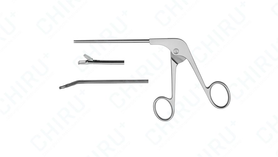 Duckbillstanze, flach