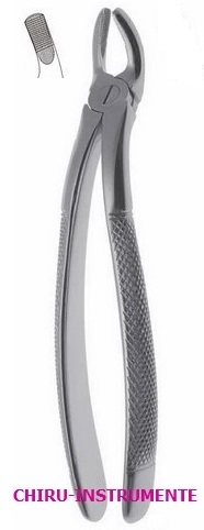 Zahnzange, englisch, Fig.19 HP, OK, Weisheitz Zahnzange, englisch, Fig.19 HP, OK, Weisheitz