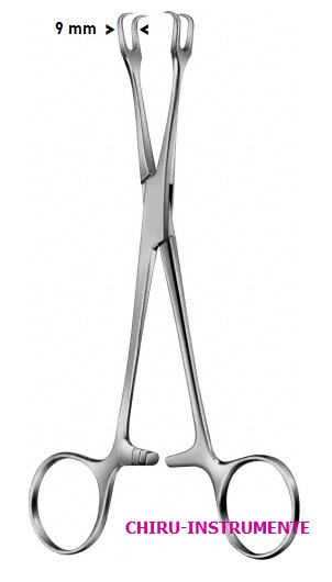 LAHEY Kropffaßzange, 2x2 Zähne, 15cm LAHEY Kropffaßzange, 2x2 Zähne, 15cm