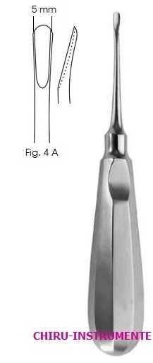 Apical Wurzelheber, Fig. 4A, 15cm, 5,0mm