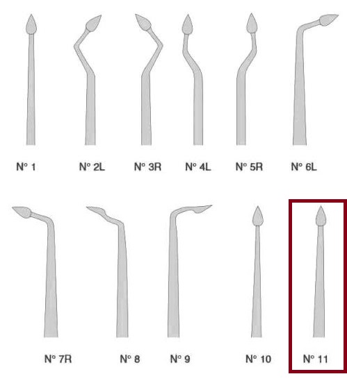 BERNARD syndesmotome tip, fig. 11