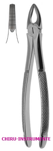 Zahnzange, englisch, Fig.29 HP, OK, Wurzeln Zahnzange, englisch, Fig.29 HP, OK, Wurzeln