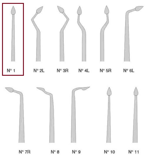 BERNARD syndesmotome tip, fig. 1