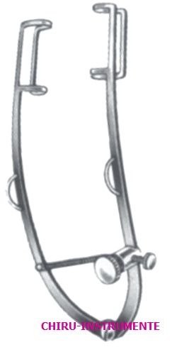 WILLIAMS Lidsperrer, gefensterte Blätter, 8cm