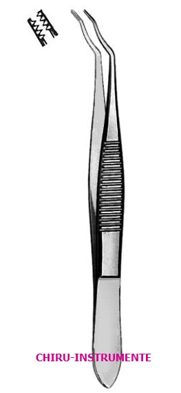 ELSCHNIG capsular forceps, 10 cm (4")