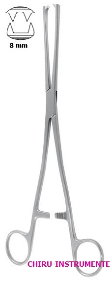 MUSEUX hook forceps, 2 x 2 teeth, 8 mm, 24 cm (9.4"), straight