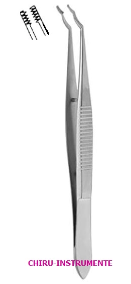 TERSON capsular forceps, 5 x 6 teeth, 9 cm (3 ½")